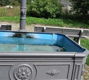 Brunnen Zollerberg Zimmern
