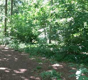 Premiumwanderweg "hochgelegen"