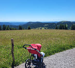 Wandern Feldberg