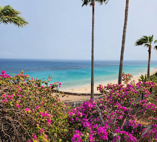 Strand Playa de Esquinzo / Playa de Butihondo