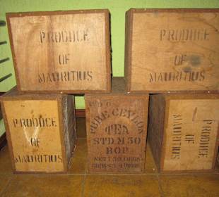 Im Teemuseum in Bois Cheri