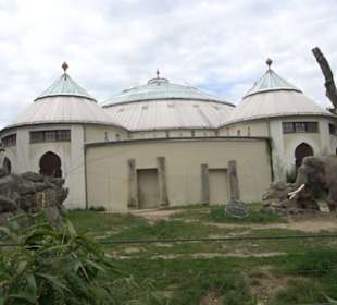 Tierpark Hellabrunn - Reich der Elefanten