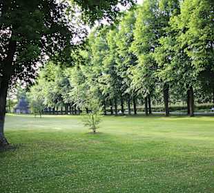 Licht und Schatten im Kurpark