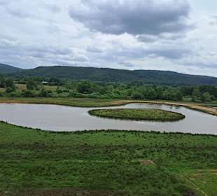 Kranichwoog Hütschenhausen in Hütschenhausen