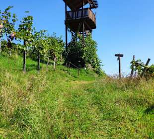 Aussichtspunkt Weinbergwarte