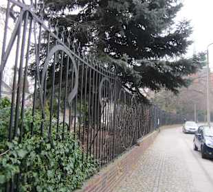 Breslauer Altstadt Botanischer Garten