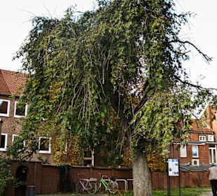 У Церькви  Св. Михаэля