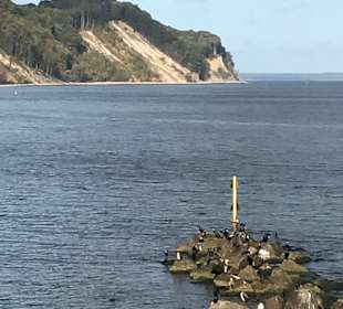 Wandern Sellin auf Rügen