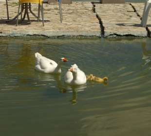 Isparta Gökçay Park