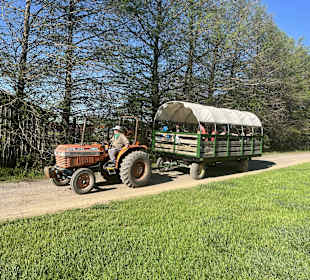 Clark's Elioak Farm