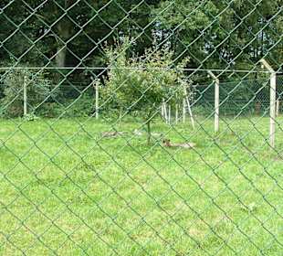 Freizeitpark