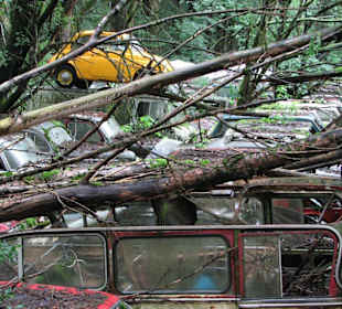 Oldtimer auf Historischem Autofriedhof in Kaufdorf