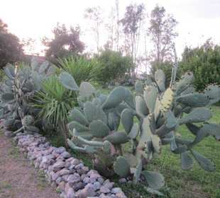 Gartenkunst der Natur
