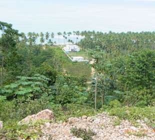 Halbinsel Samana Tour