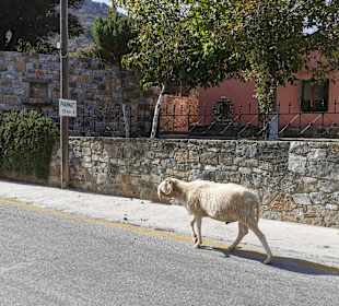 Wandern Georgioupolis