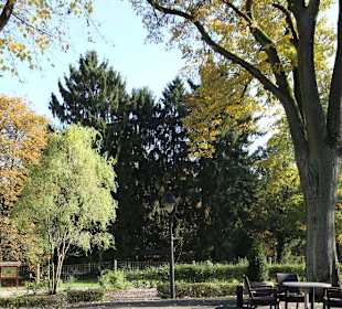 Blick in den Tierpark Wildgatter