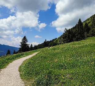 Wandern Bad Hindelang