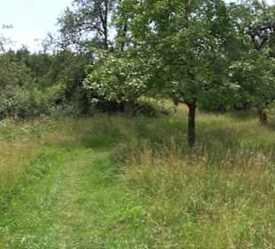 Premiumspazierweg Früchtetrauf-Leisawegle