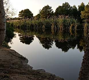 Wanderung Puig de Son Jordi