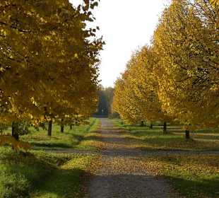 Spazierweg um den See