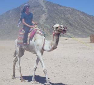 Kamelreiten