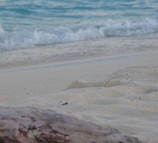 Strand Playa del Carmen