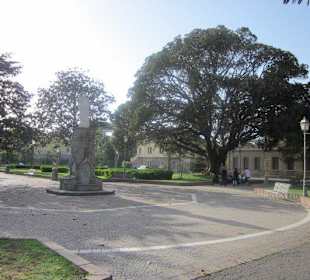 Piazza