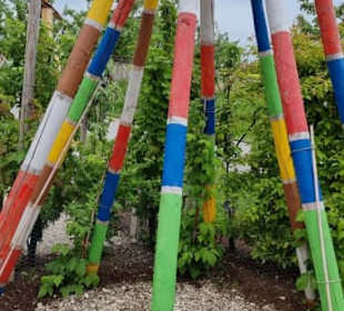 Einfach Farbe rein bringen 