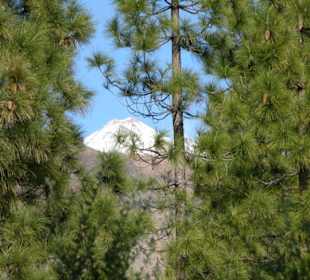 Teide auf dem Wanderweg zum Campamento del Agua