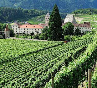Augustiner Chorherrenstift Neustift 