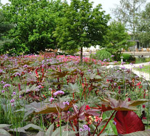 Rundgang durch den Park der Gärten