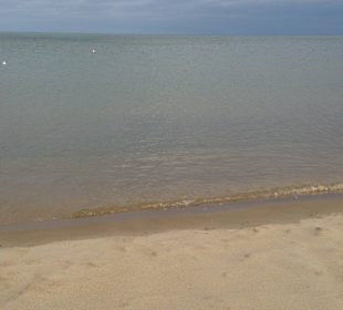Plaża stogi