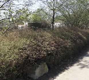 Sport- und Freizeitpark Markwasen