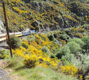 Mit der Taieri Railway durch die Natur Neuselands