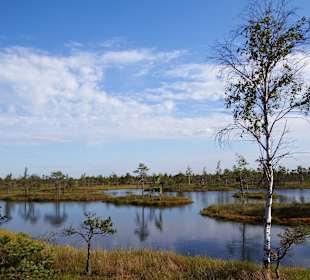 Bohlenweg durchs Kemeru-Moor