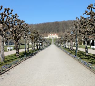 Park