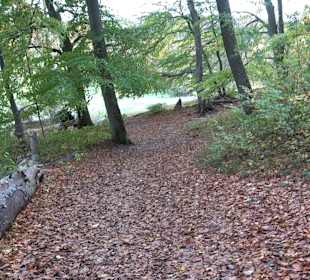 Wandertour "Rund um denWandert Rossberg" Öschingen