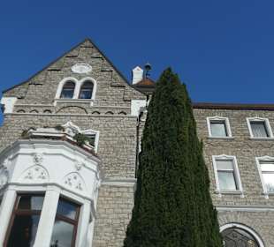 Über den Stein-Wein-Pfad durch den Weinberg