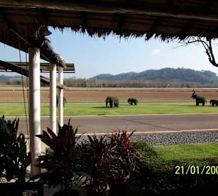 ´Flughafen Trat