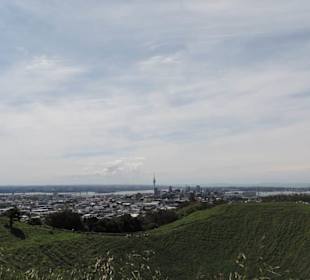 Blick vom Vulkan über Auckland
