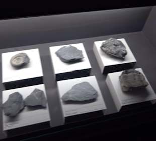 Jura-Museum