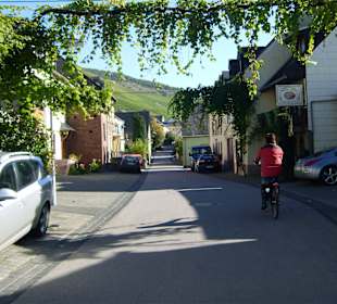 Gegend um Weingut Thesen/Schweich