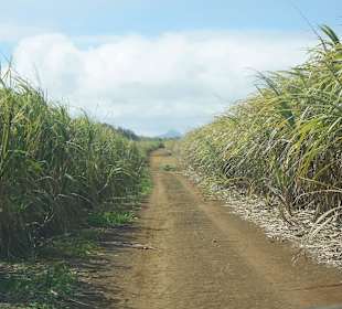 Nature Trail