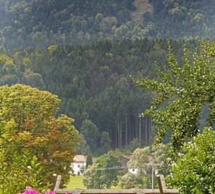 Blick zum Hohen Bogen