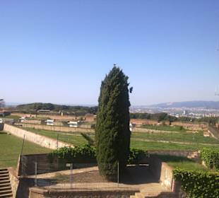 Los jardines traseros