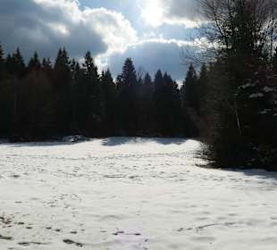 Winterimpressionen