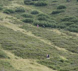 Wandern Hochpillberg