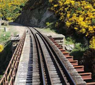 Mitder Taileri Railway durch die Natur Neuseelands