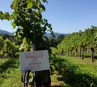 Weingarten
