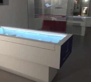 Museum Artes del Libro